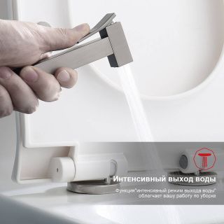 Гигиенический душ со смесителем Raglo R01.51.09 графит