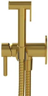 Гигиенический душ WHITECROSS 2-SYSYBI2GLB золото брашированное