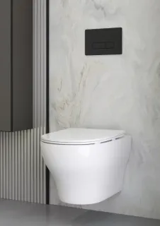 Подвесной унитаз Boheme Fiore 978-SET-2-MW безободковый с функцией биде белый матовый