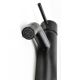 Смеситель для раковины Paini Cox 78PZ205 чёрный матовый