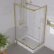 Душевой уголок Triton Вента -Голд Щ0000073919 120x80 см профиль золото стекло прозрачное