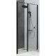 Душевая дверь Allen Brau Priority 90 3.31027.BBA профиль Черный браш