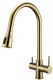 Смеситель для кухни Paulmark Lange La214212-G золото