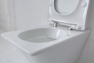 Унитаз подвесной Jacob Delafon GRANDS BOULEVARDS EDW102-00