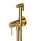 Гигиенический душ со смесителем Omnires Y золото SYSYBI2GL