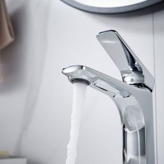 Смеситель для раковины Shevanik S4201 хром