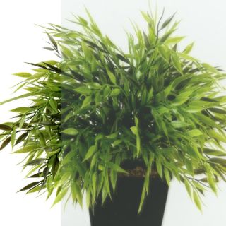 Душевой уголок Triton Вента Щ0000056925 80x80 см профиль чёрный стекло прозрачное