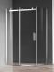 Душевая дверь AQUAme AQM4201F-10 100см хром