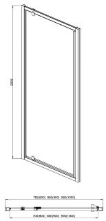 Душевая дверь Aquatek AQ ARI PI 10020BL 100см чёрный