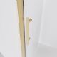 Душевая дверь Veconi Evo 100 G, 1600x1950, золото брашинг, стекло прозрачное