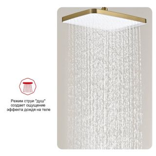 Верхний душ Raglo R451.52.03 34x22см золотой сатин