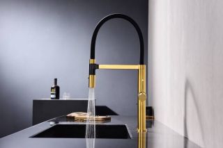 Смеситель для кухни Paulmark Leader Le214101-BG брашированное золото