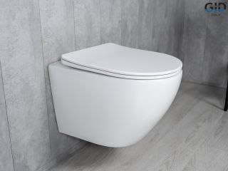 Унитаз подвесной Tornado Gid Tr2122TF 62258Y белый 49x36x36