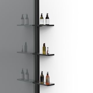 Душевая перегородка Vincea Walk-In VSW-1HWS100CGB, 1000*2000, черный матовый, стекло тонированное