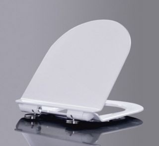 Крышка-сиденье для унитаза BelBagno Flay-R BB2111SC